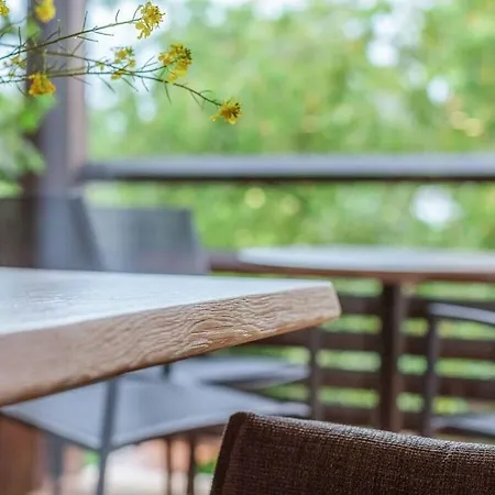 80 Sqm غايِنهوفِن